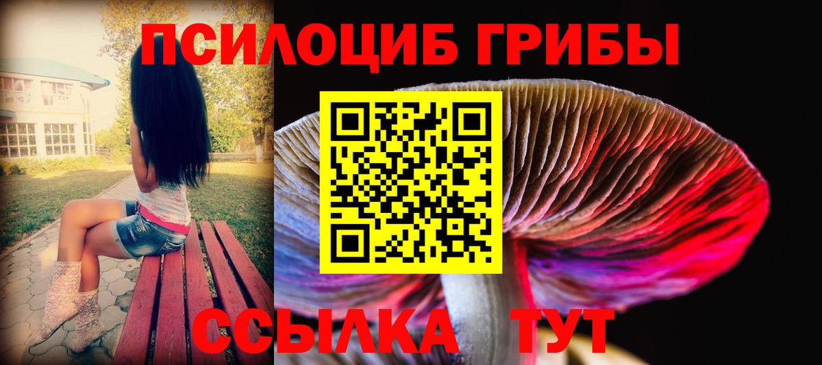 Псилоцибиновые грибы прущие грибы Дзержинск