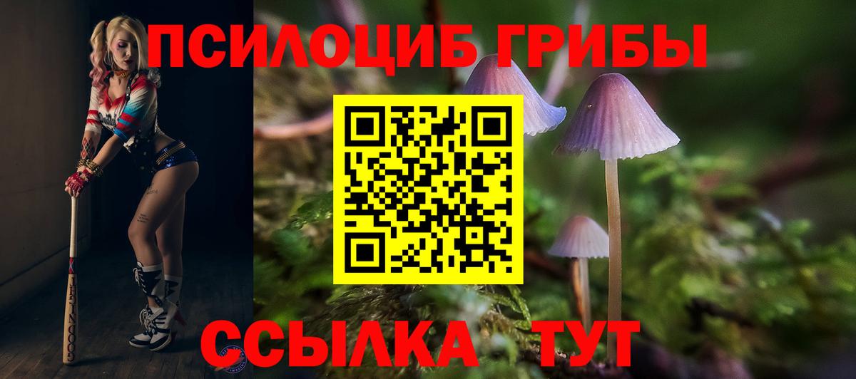 Псилоцибиновые грибы ЛСД  Вход с VPN  Псилоцибиновые грибы ЛСД  Дзержинск 